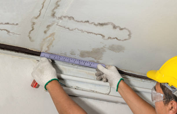 Reliable Water Damage contractor in Lawrence, MA by Water Damage Irwin